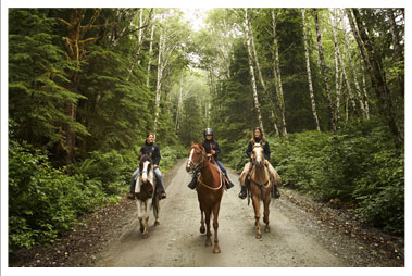 Horseback Riding Trails in WI